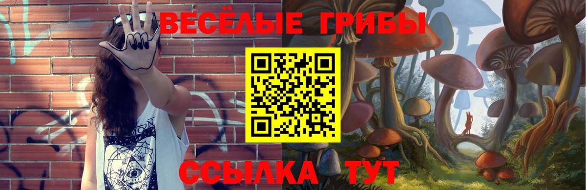 Галлюциногенные грибы мицелий Красноармейск